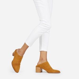 Everlane Suede Mule Heel